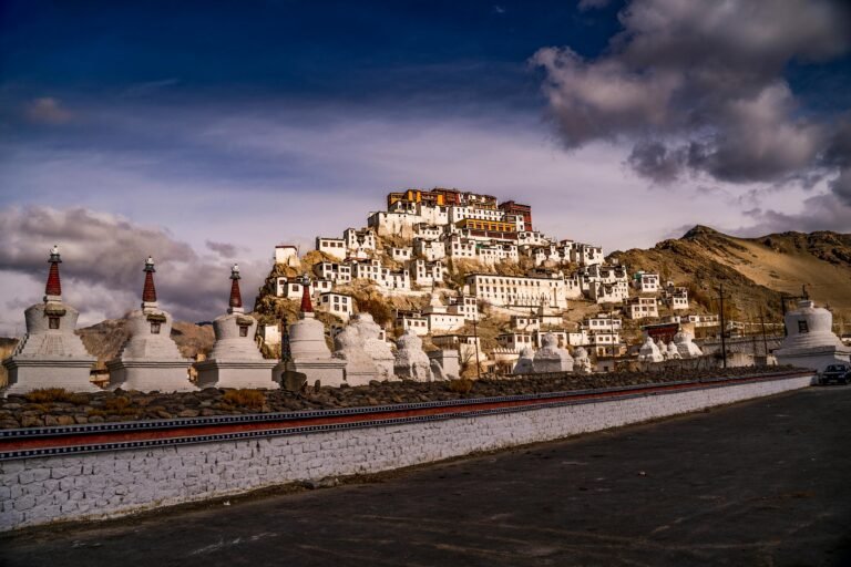 pexels-shalenderkumar-6650445